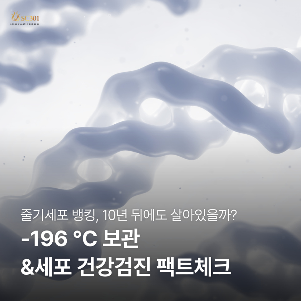 image 줄기세포 뱅킹, 10년 뒤에도 살아있을까? -196 °C 보관의 비밀