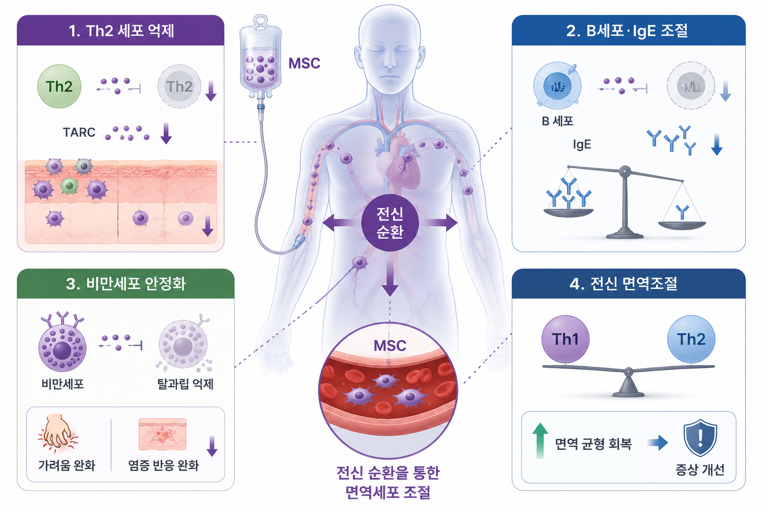05a98c57-15c9-47af-b75c-ac52e3c7b9e0 지방줄기세포 정맥주사로 아토피 피부염을 치료할 수 있을까?