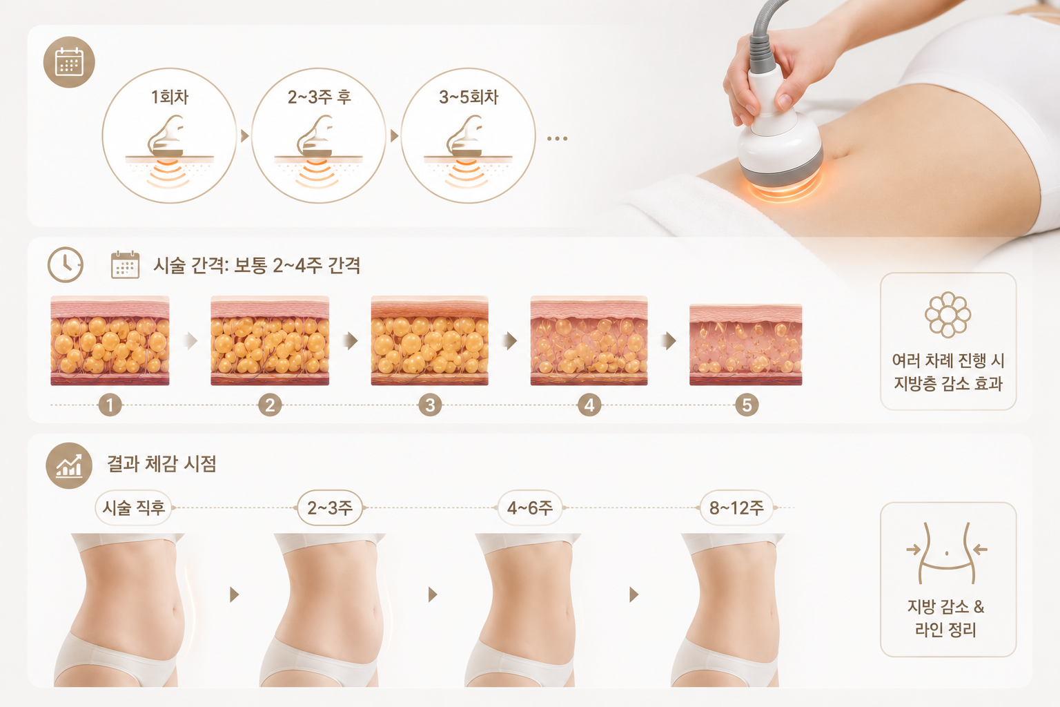 73c7010e-62be-4e97-9139-f34e1ea0ed1a 비수술 지방분해 — 원리부터 횟수, 부위별 효과까지