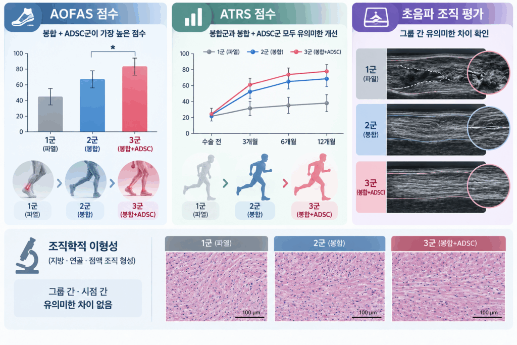 임상-결과-1024x683 끊어진 아킬레스건, 세포치료로 회복력을 더하다