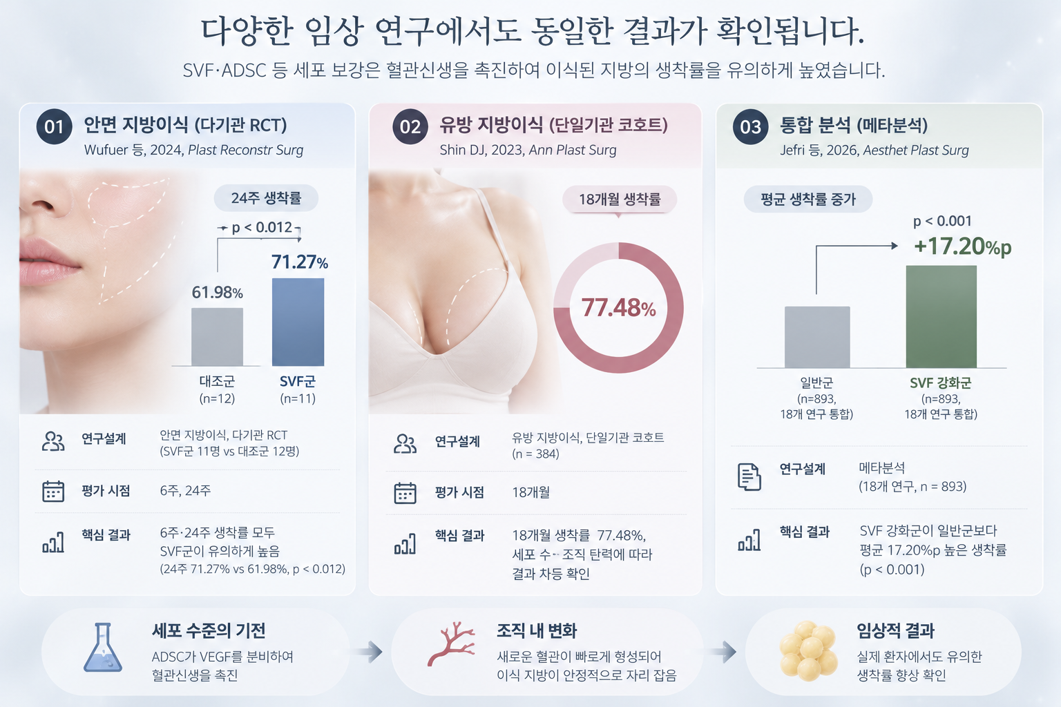 임상-연구로-확인한-지방-생착률-향상 지방이식에 줄기세포를 더하는 이유 — 생착의 생물학적 원리