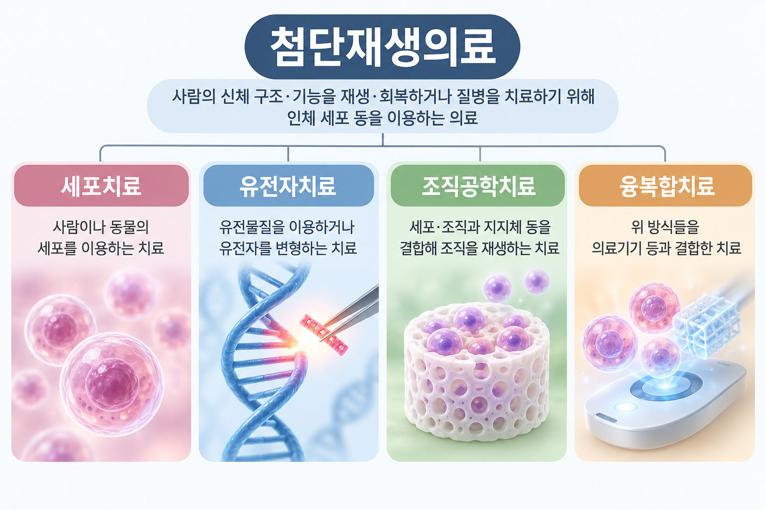첨단재생의료 첨단재생의료 실시기관이란 — 지정 요건과 법적 의미