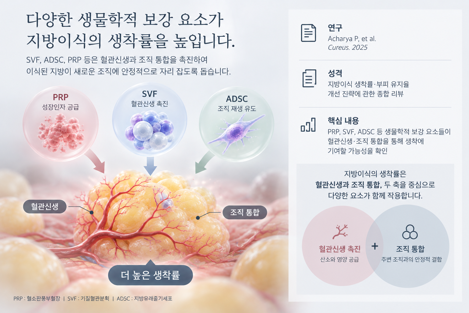 지방이식에서 생착률이 중요한 이유